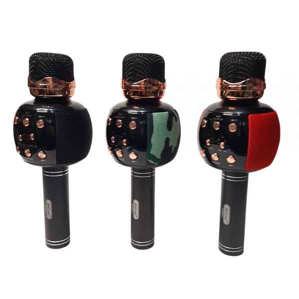 Wireless microphone speaker CD Online Shop Malta